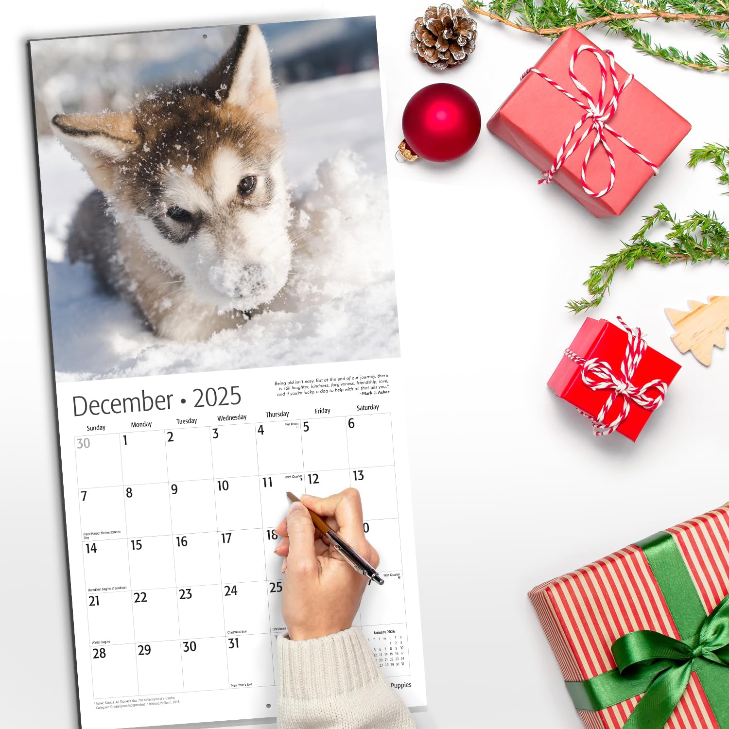 RED EMBER 2025 Puppies Wall Calendar - 12 Month Dog Lover Calendar, 12