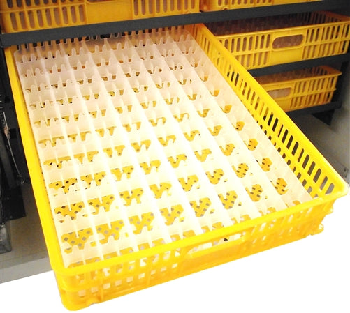Rite Farm Pro 528 Professional Cabinet Egg Incubator & Hatcher - High Capacity Poultry Hatchery Equipment for Chicken, Duck, Quail Eggs - Perfect for Home Farms, Backyard Poultry Breeding & Commercial Hatcheries