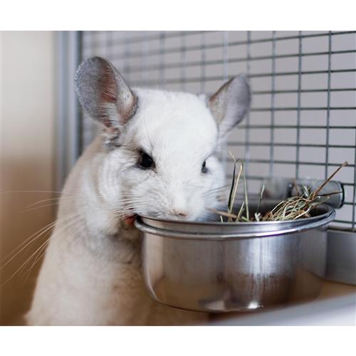 Premium Chinchilla Cage & Starter Kit - Spacious Metal Habitat with Accessories for Small Pets - Perfect for Chinchillas, Rabbits, and Guinea Pigs - Ideal for Home, Nursery, or Classroom Use