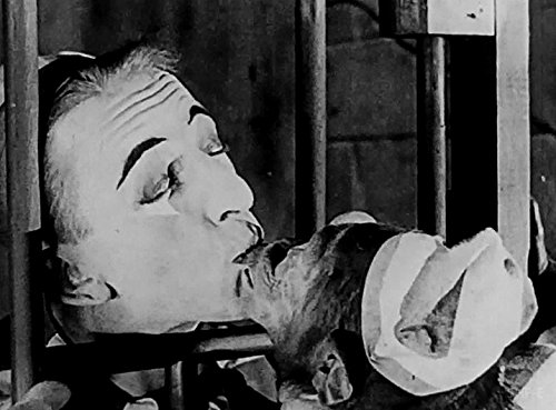 Larry Semon: The Ultimate Collection Disc 1 - Classic Silent Comedy DVD | Vintage Slapstick Films | Perfect for Movie Nights & Film History Enthusiasts