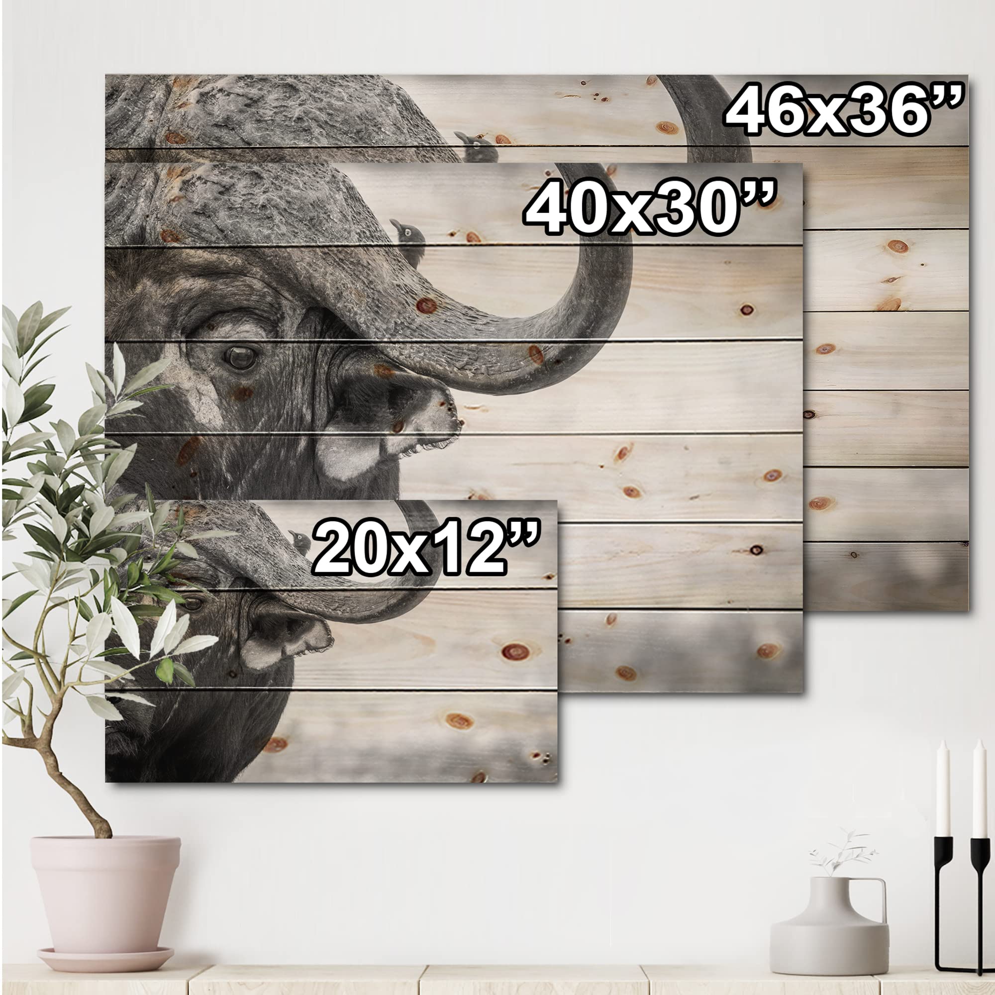 DesignQ Monochrome Buffalo Portrait III - Farmhouse Wood Wall Decor, Black Wood Wall Art, Large Animal Wood Panel Print on Natural Pine - Perfect for Living Room, Bedroom & Rustic Home Decor