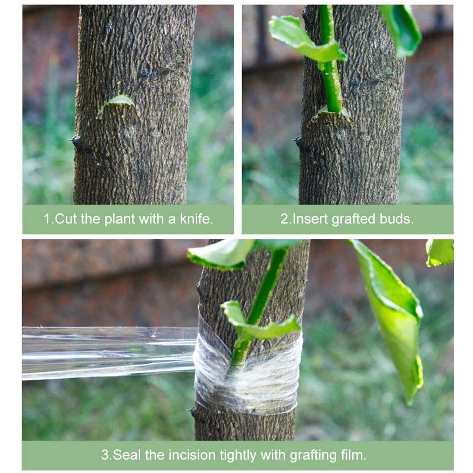 4 Rolls Grafting Tape, 120m x 2cm Elastic Tree Grafting Band, Plant Repair Tape for Buds & Plants - Ideal for Gardening, Tree Care & Plant Restoration