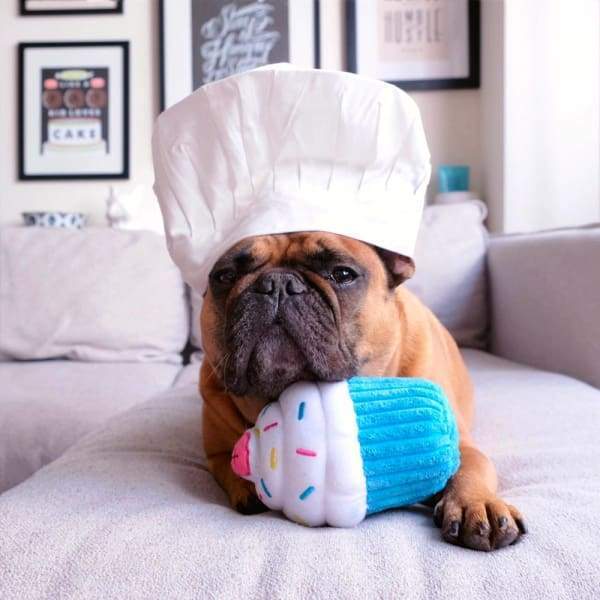 ZippyPaws Cupcake Plush Dog Toy - Blue & Pink Chew-Resistant Squeaky Toy for Small & Medium Dogs | Perfect for Playtime, Training Rewards & Birthday Gifts