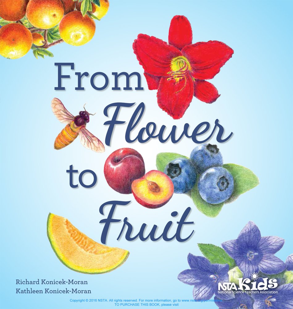 From Flower to Fruit: Premium Organic Fruit Gift Box - Perfect for Holidays, Birthdays & Corporate Gifting