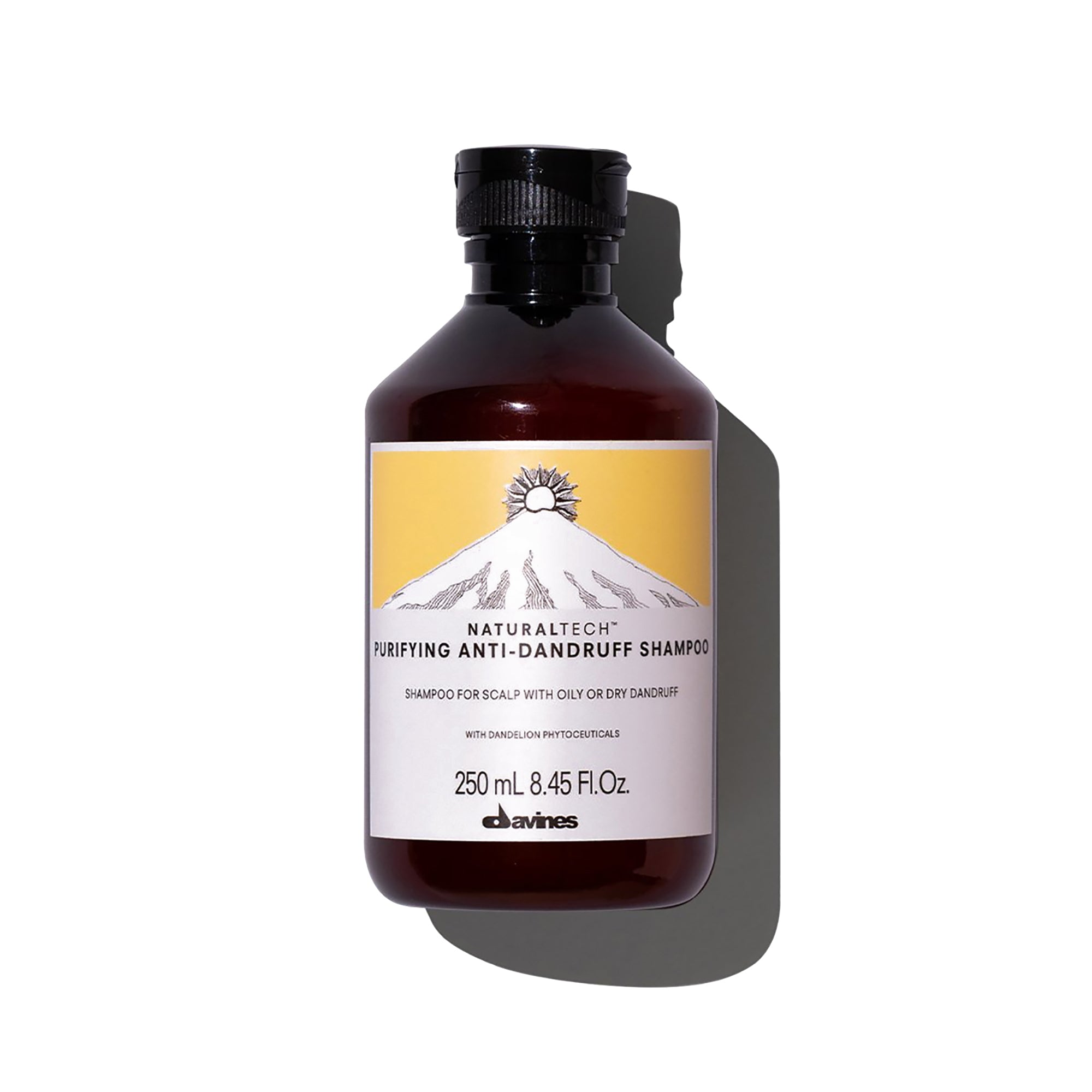 Davines Naturaltech Purifying Anti-Dandruff Shampoo for Scalp Care - Soothes Itchy Scalp & Fights Flakes | Perfect for Daily Use & Sensitive Scalps