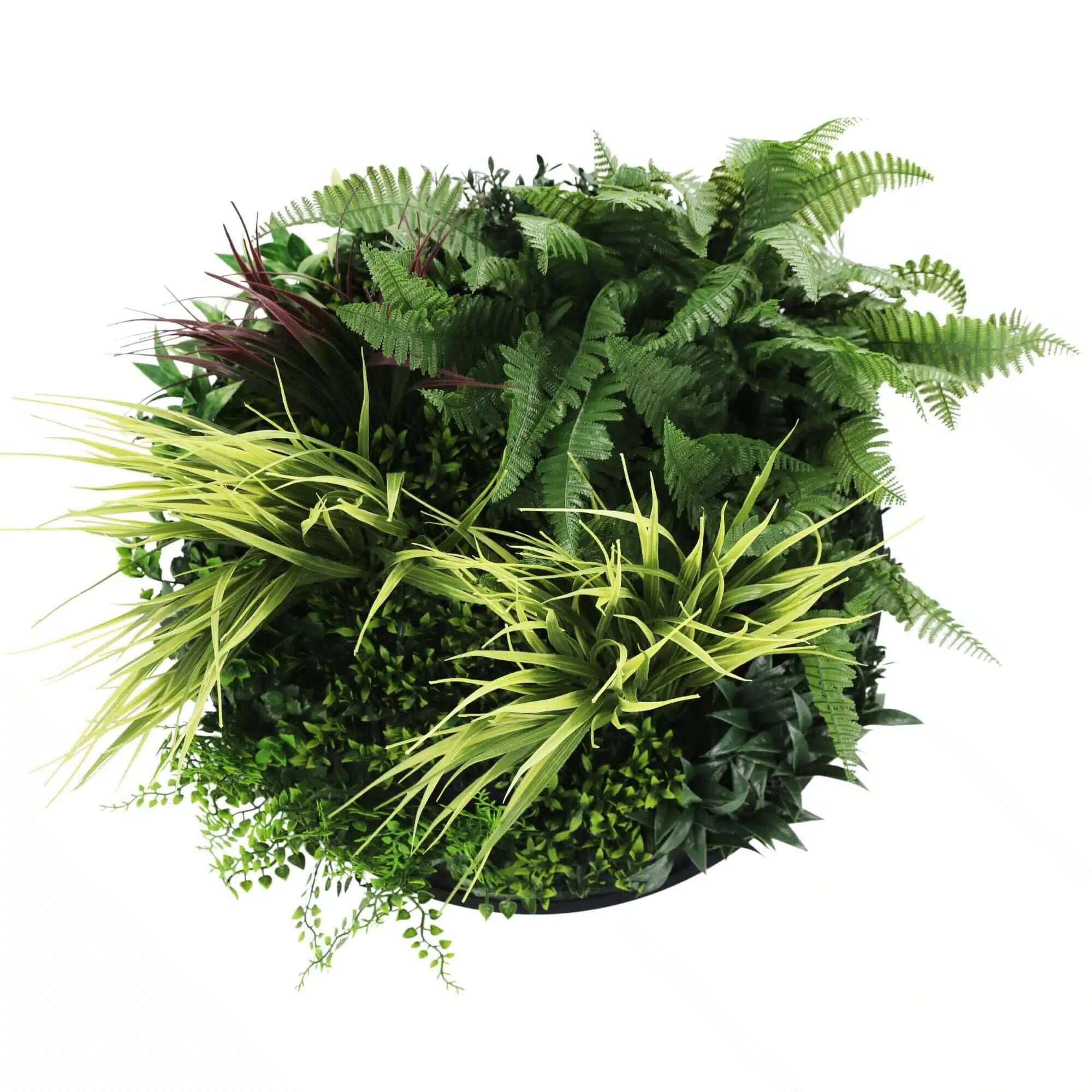 50cm Artificial Green Wall Panel - UV Resistant Slimline Fern Grass Decor for Indoor/Outdoor Use - Perfect for Home, Office, Balcony & Garden Decoration