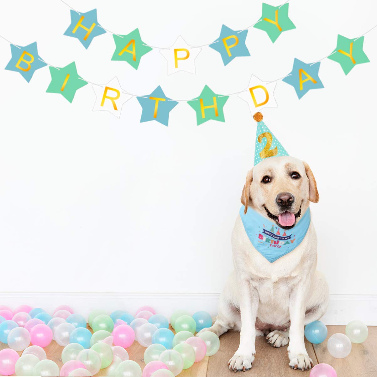 POPETPOP Dog Birthday Party Supplies Set - Cute Dog Bandana & Hat with Happy Birthday Banner for Dog & Cat Birthday Celebrations - Perfect for Pet Birthday Parties, Photo Shoots & Special Occasions
