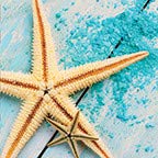 Star Fish