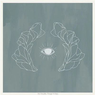 Jose Gonzalez Vestiges & Claws Vinyl LP Record - Folk & Indie Music for Relaxation, Study & Coffee Shop Ambiance