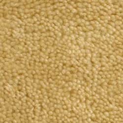 Sinatra Champagne Gold