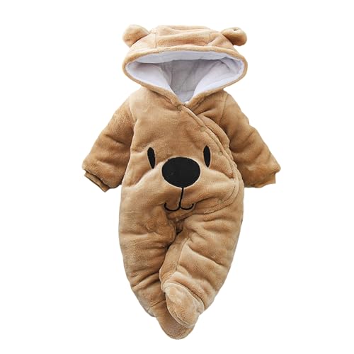 Brown Bear