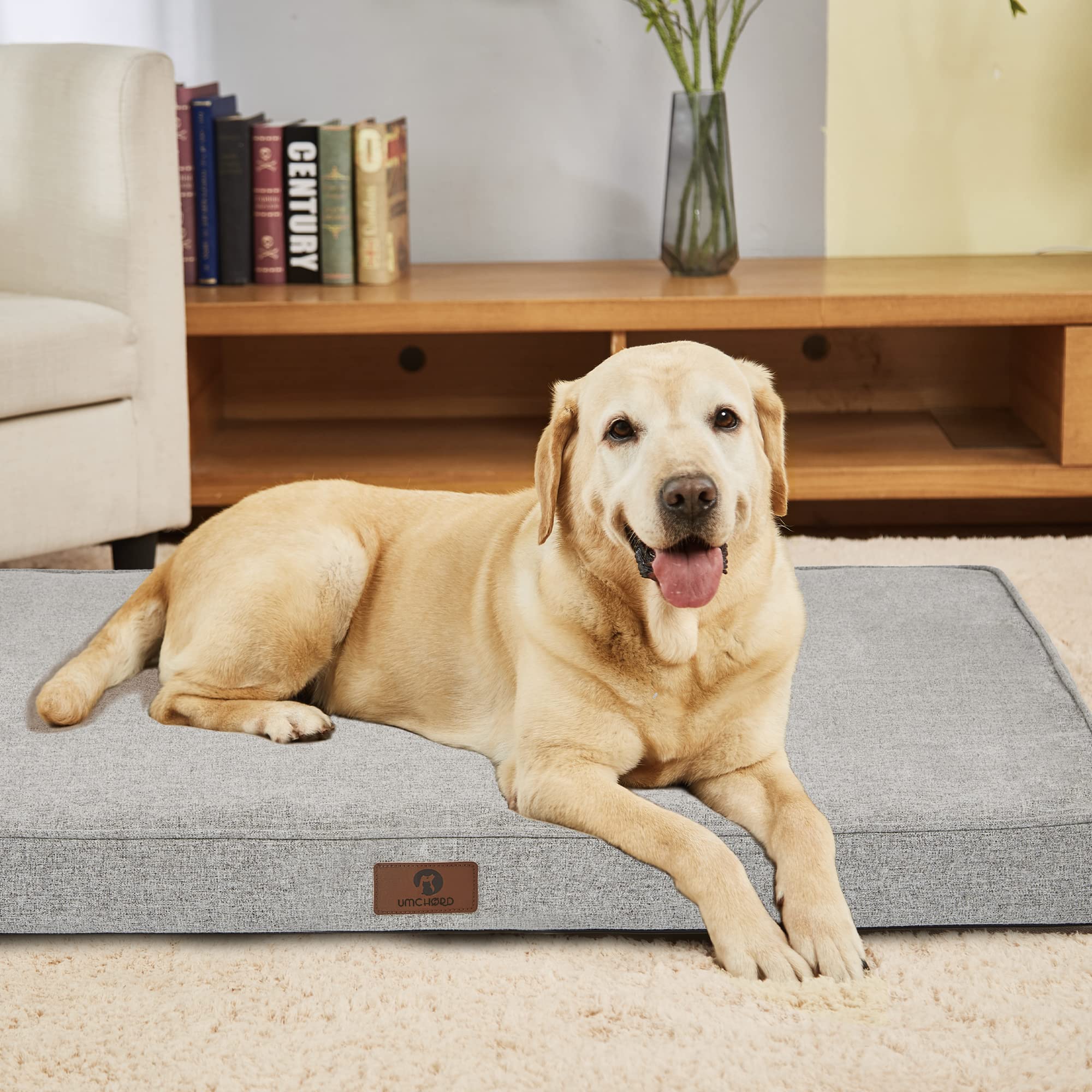Orthopedic Memory Foam Dog Bed for Medium Dogs up to 50lbs - 3 Inch Thick 2-Layer Support, Waterproof Lining & Removable Washable Cover - Perfect for Home, Crate, or Travel Use