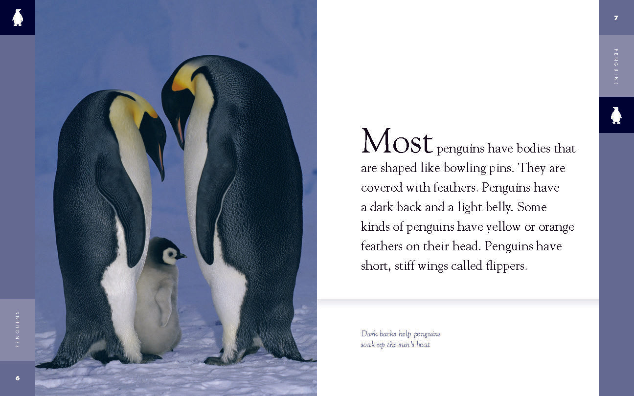Amazing Animals (2014): Penguins - Educational Wildlife Documentary for Kids & Families | Perfect for Classroom Learning & Nature Enthusiasts