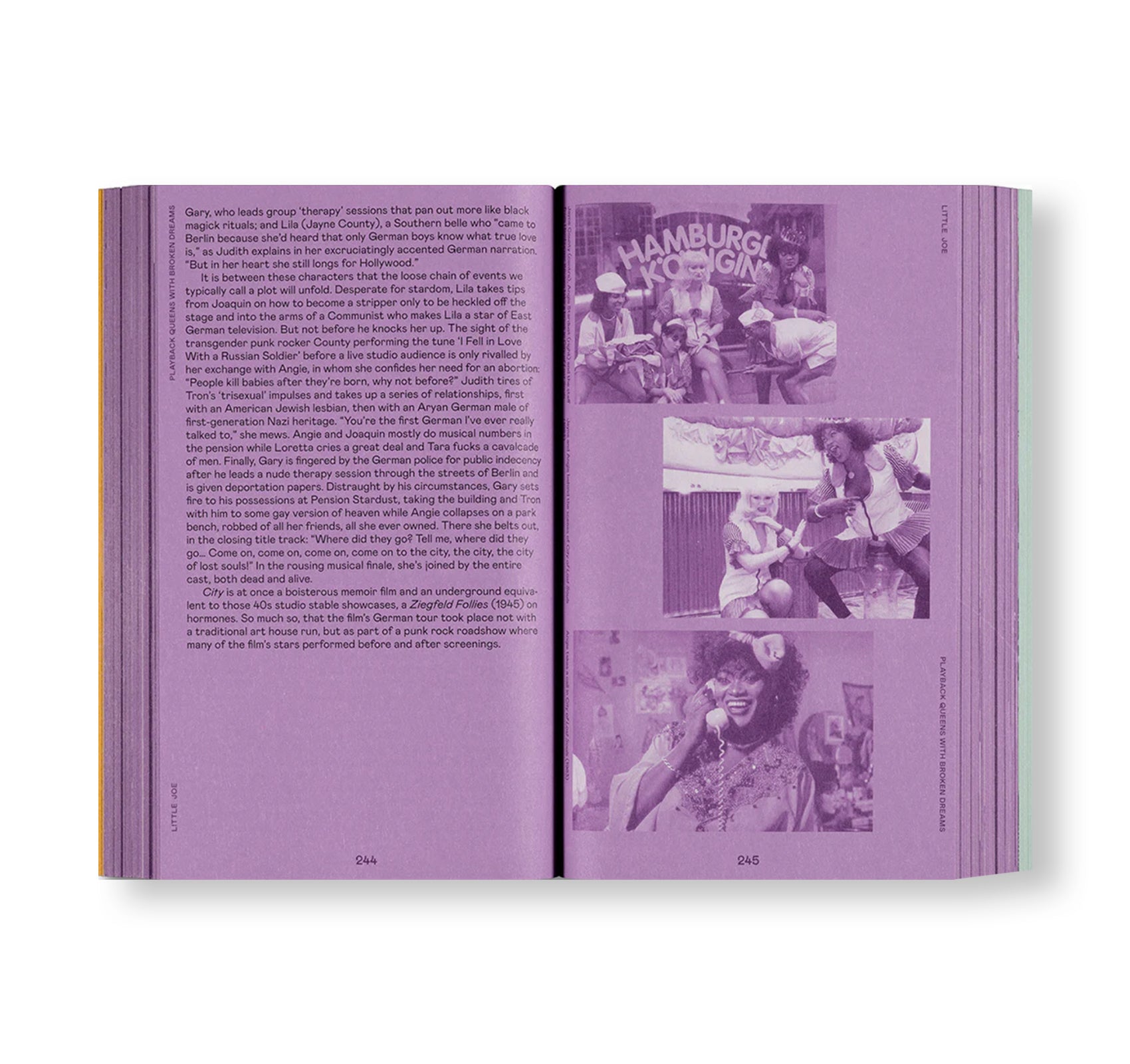 Little Joe: A Queer Cinema Exploration Book - Perfect for LGBTQ+ Film Studies and Movie Enthusiasts