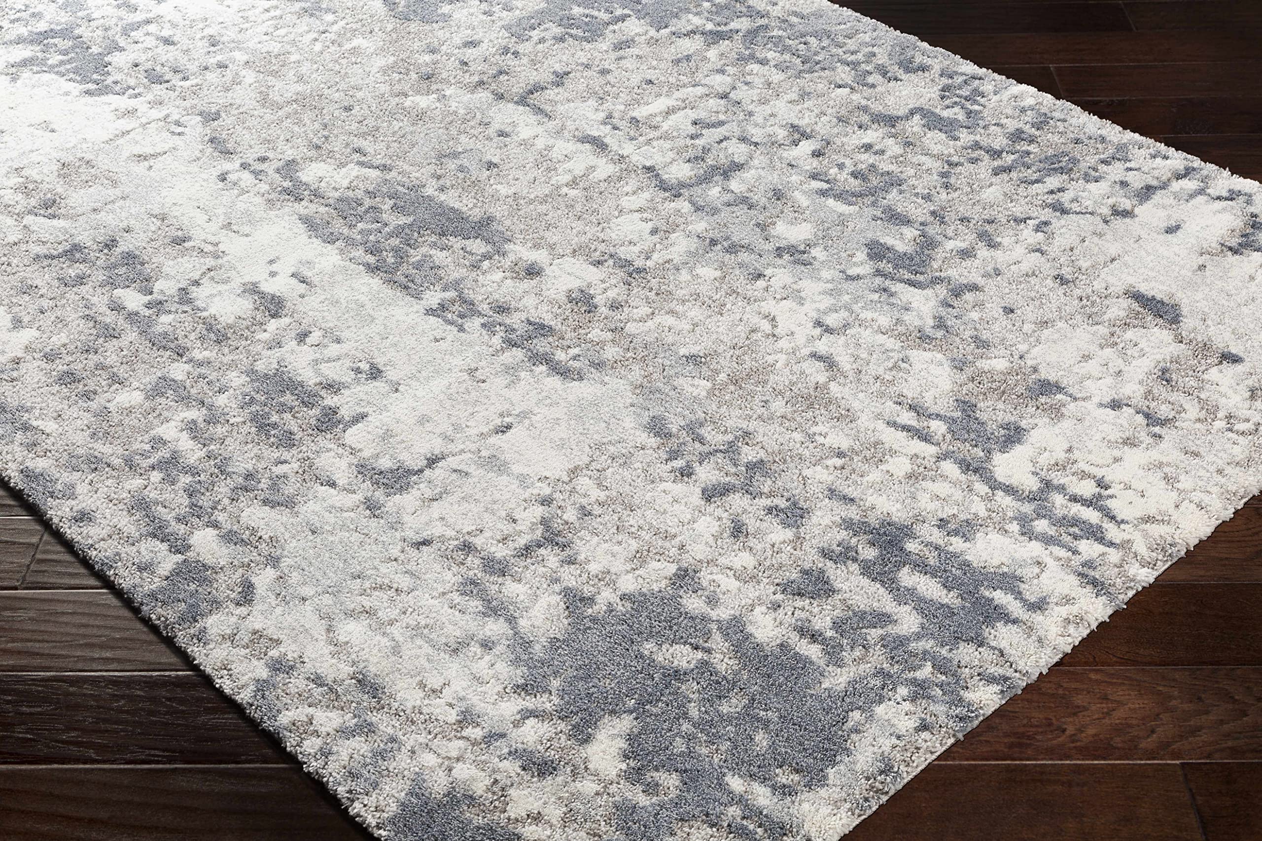 Hauteloom Walhonding Modern High Pile Area Rug - 5'3