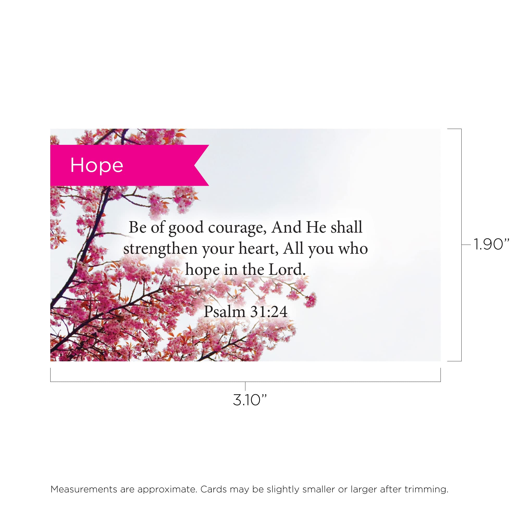 Inspirational Bible Verse Cards - Pack of 25 Scripture Cards with Psalm 31:24 for Courage | Christian Devotional, Bible Study & Scripture Memorization | Perfect for Encouragement Gifts, Small Group Studies & Personal Faith Journey