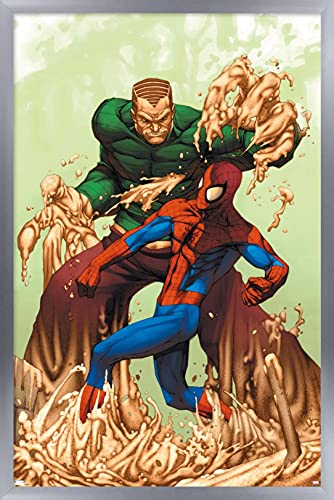 Silver Framed Version