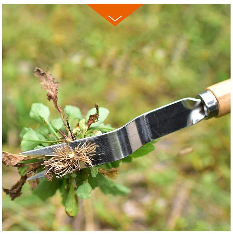 **Chiloskit 28cm Stainless Steel 304 Weeding Tool with Wooden Handle - Heavy Duty Weed Puller, Lawn & Garden Hook Knife for Efficient Weed Removal - Perfect for Yard Maintenance, Gardening & Landscaping**