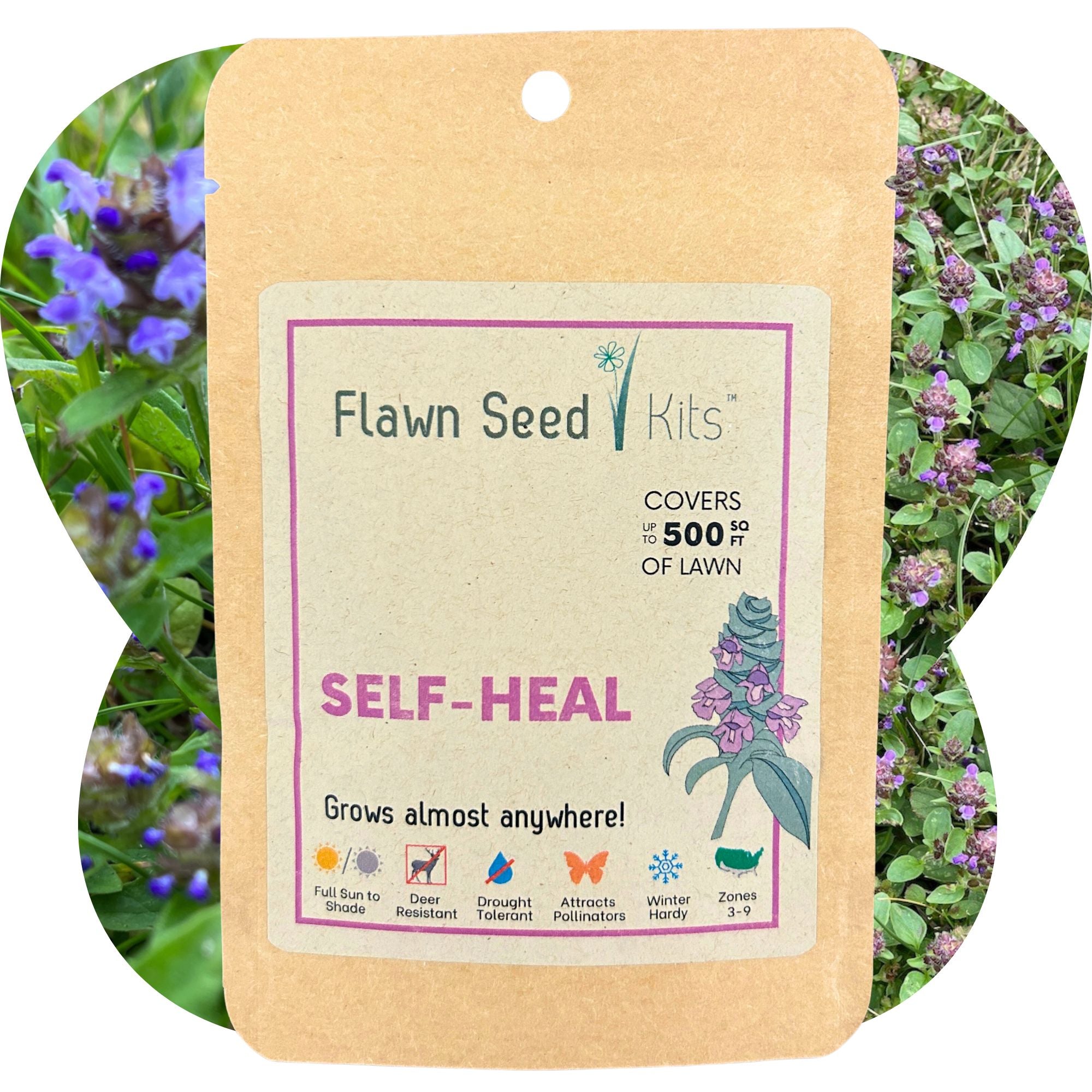 Organic Self Heal Seed Pouch - Grow a Pollinator-Friendly, Low Maintenance Lawn - Perfect for Eco-Conscious Gardeners & Sustainable Landscaping