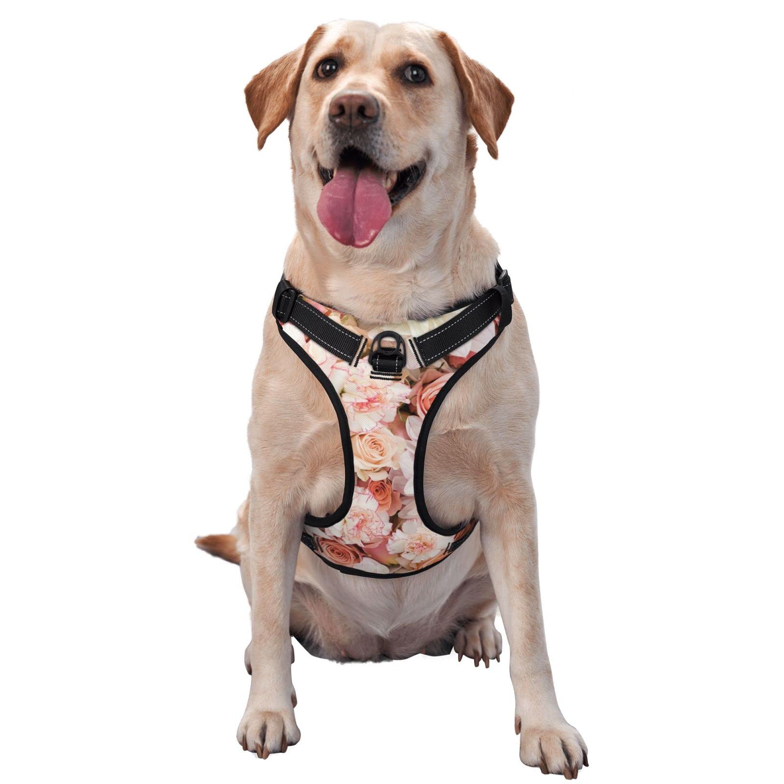 No Pull Dog Harness with 2 Leash Clips - Adjustable Soft Padded Pet Vest - Reflective Oxford Material - Easy Control Handle for Small Medium Large Dogs - Perfect for Walking, Training & Outdoor Adventures