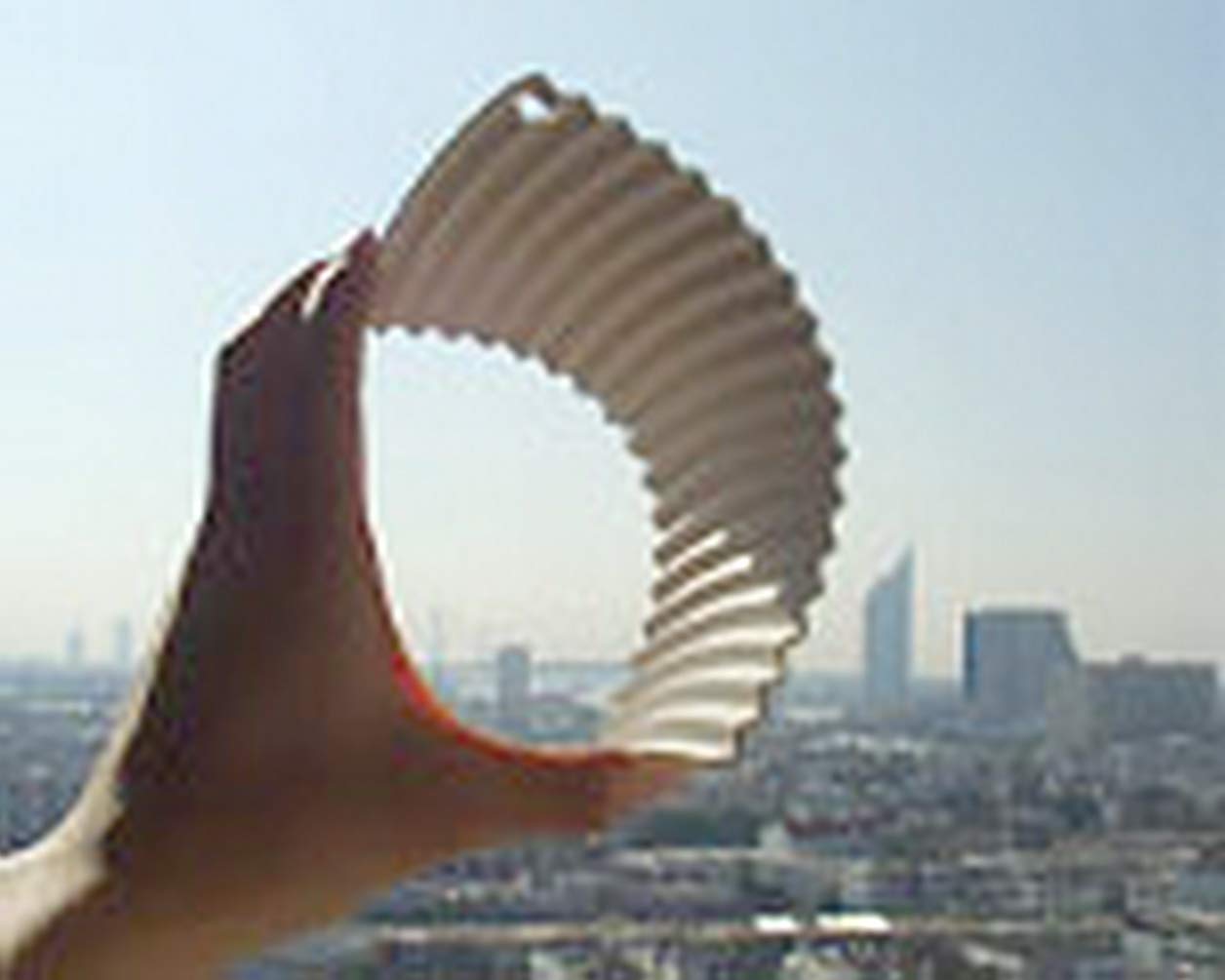 Muji Japan Mini Washing Board - Compact Handheld Laundry Scrubber for Delicates, Socks & Travel Use