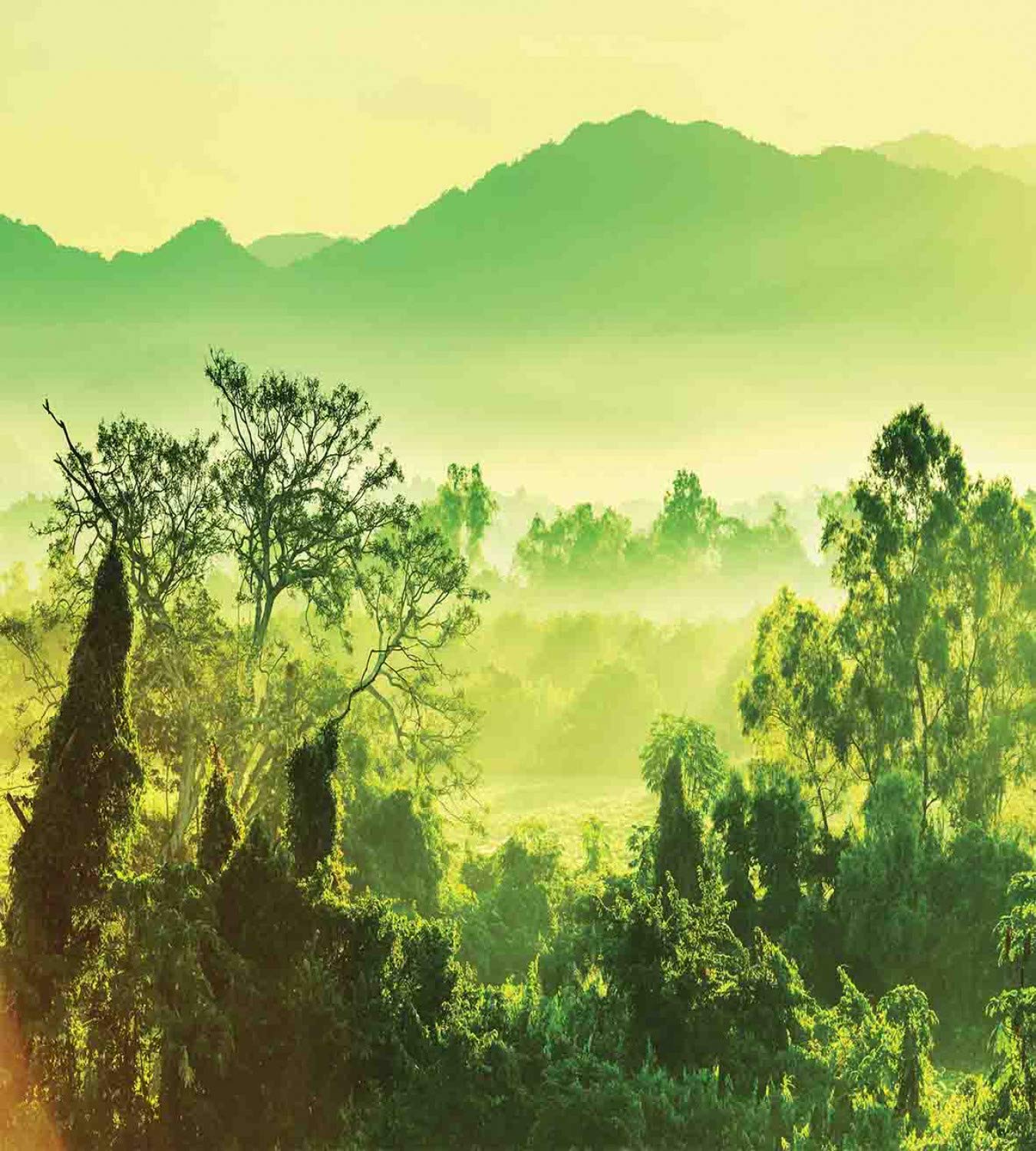 Ambesonne Nature Landscape Duvet Cover Set - Green Mountain & Trees Design, 3-Piece California King Bedding with 2 Pillow Shams in Lime & Yellow Green | Perfect for Bedroom Decor, Guest Rooms & Vacation Homes