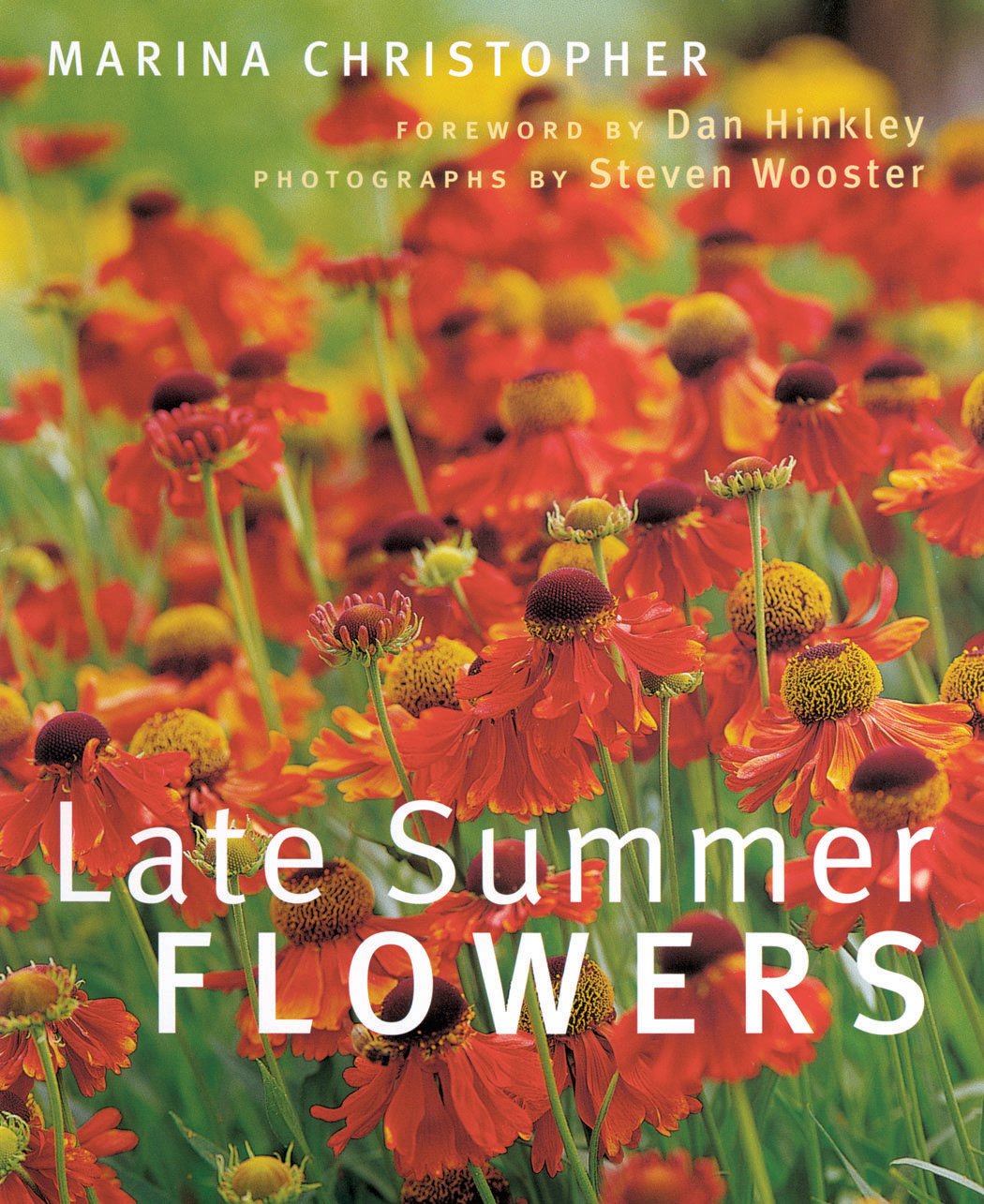 Late Summer Flowers - Fresh Seasonal Blooms for Home Decor, Weddings & Special Events | Perfect for Bouquets, Centerpieces & Gifts