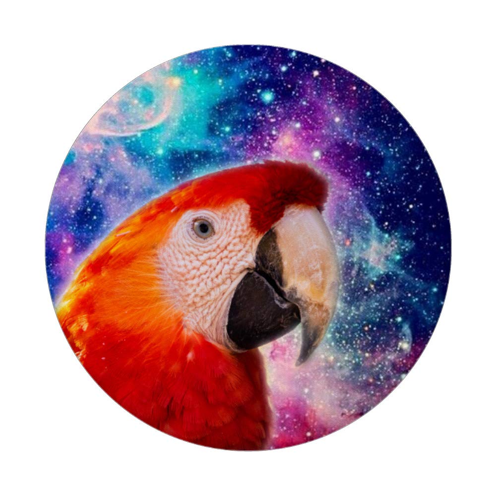 Colorful Parrot Phone Stand Holder - Cute Bird Design for Desk & Tabletop - Perfect for Watching Videos, Reading & Video Calls