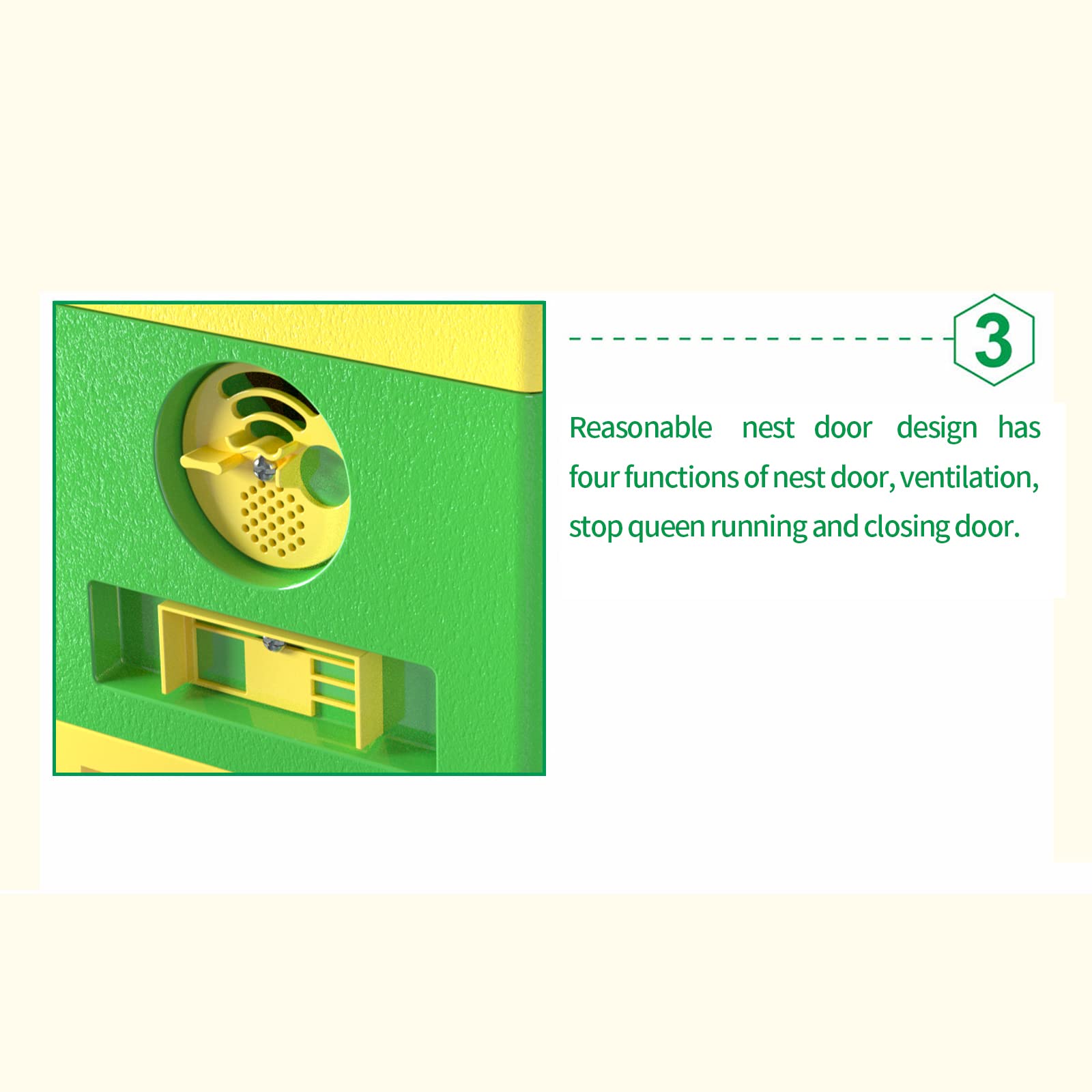 Queen Bee Mating Nuc Hive Box - Mini Beehive for Queen Rearing & Beekeeping (Green) | Perfect for Backyard Beekeepers & Apiary Enthusiasts