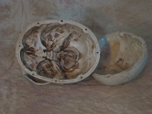 Skull Candy Dish - Premium Ceramic Candy Bowl for Halloween, Parties & Home Decor - Perfect for Candy Storage, Snacks & Treats Display