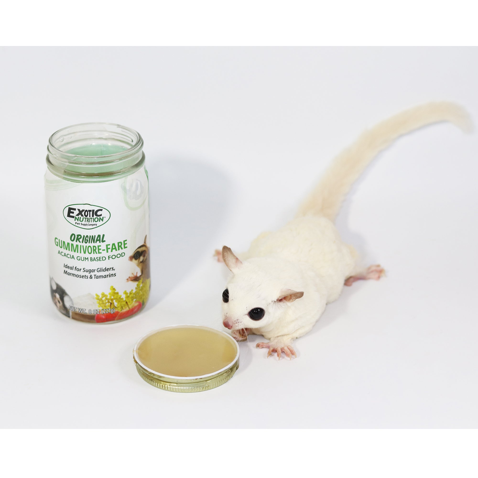 Premium Gummivore Fare Sugar Glider Food - Natural & Nutritious Diet for Pet Sugar Gliders - Perfect for Daily Feeding & Treats at Home or Travel
