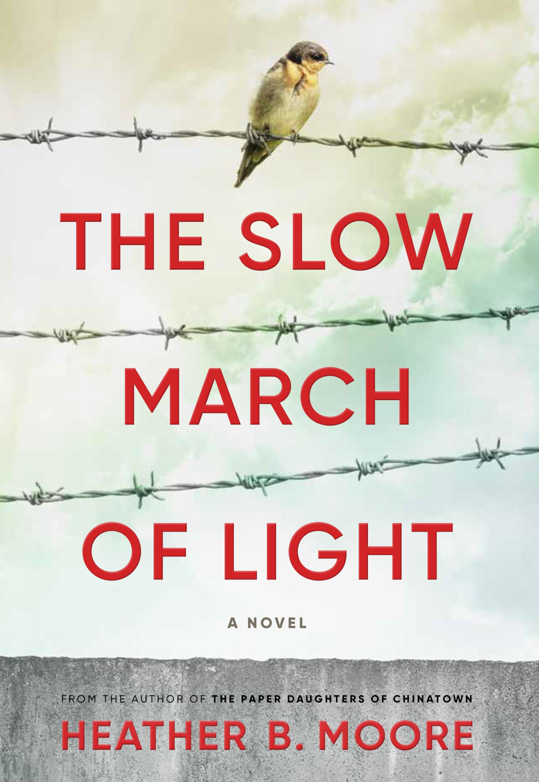 The Slow March of Light - Inspirational Historical Fiction Novel | WWII & Cold War Era Story | Perfect for Book Clubs & History Enthusiasts