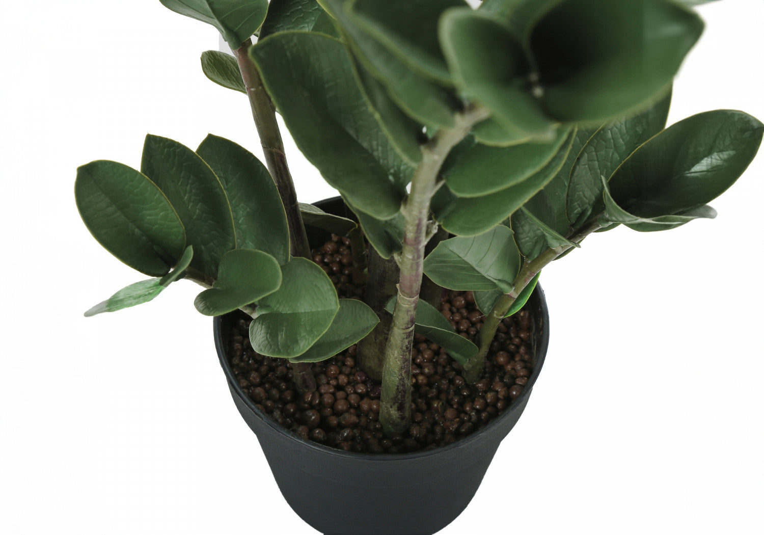 29 Inch ZZ Plant with 6 Inch Black Pot - Low Maintenance Indoor Houseplant for Home, Office, or Garden Decor