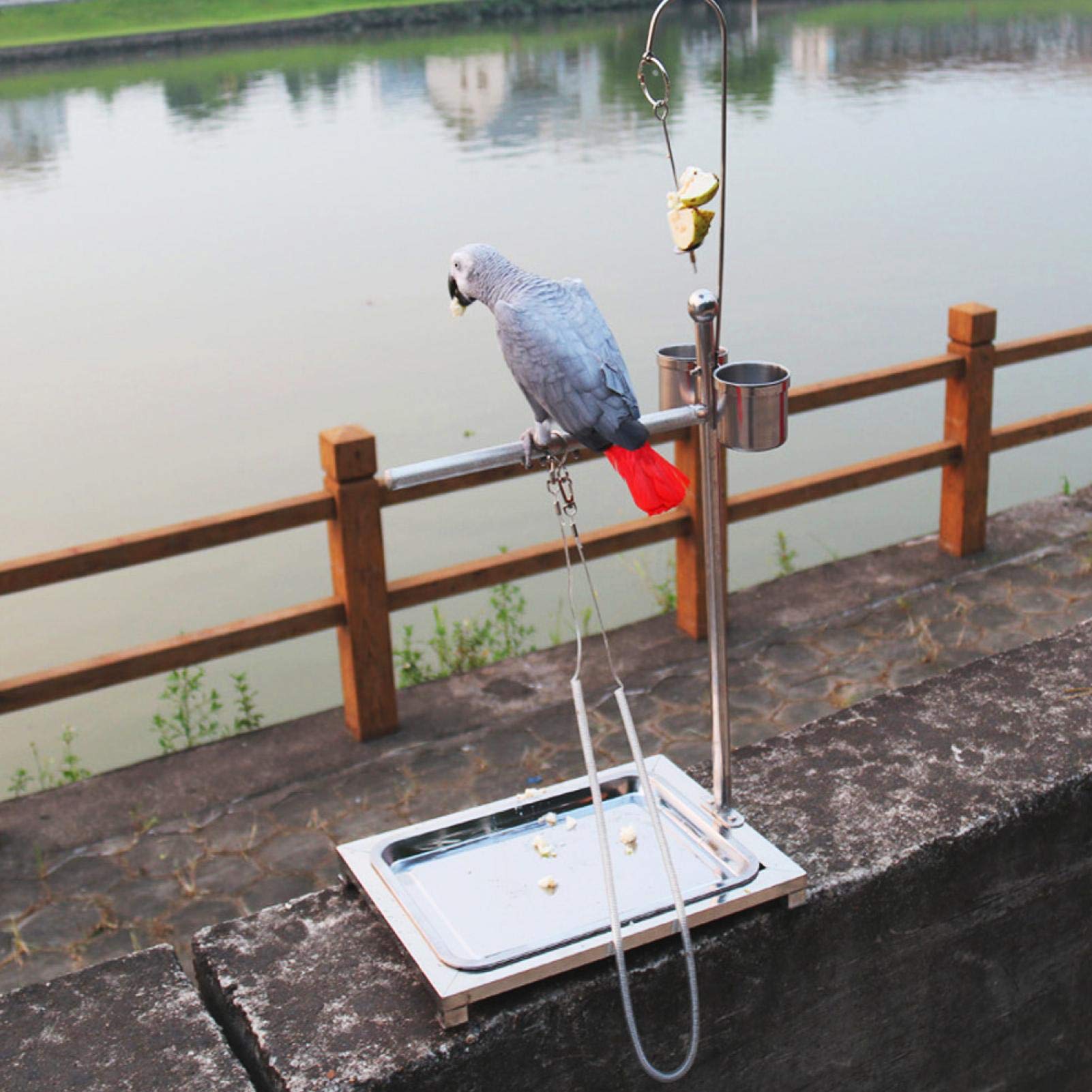 EVTSCAN Stainless Steel Bird Stand for Parrots - Training Perch with 2 Food Bowls (44 x 33 x 60cm) | Durable Bird Play Gym for Cockatiels, Macaws & Pet Birds | Perfect for Training, Feeding & Playtime at Home
