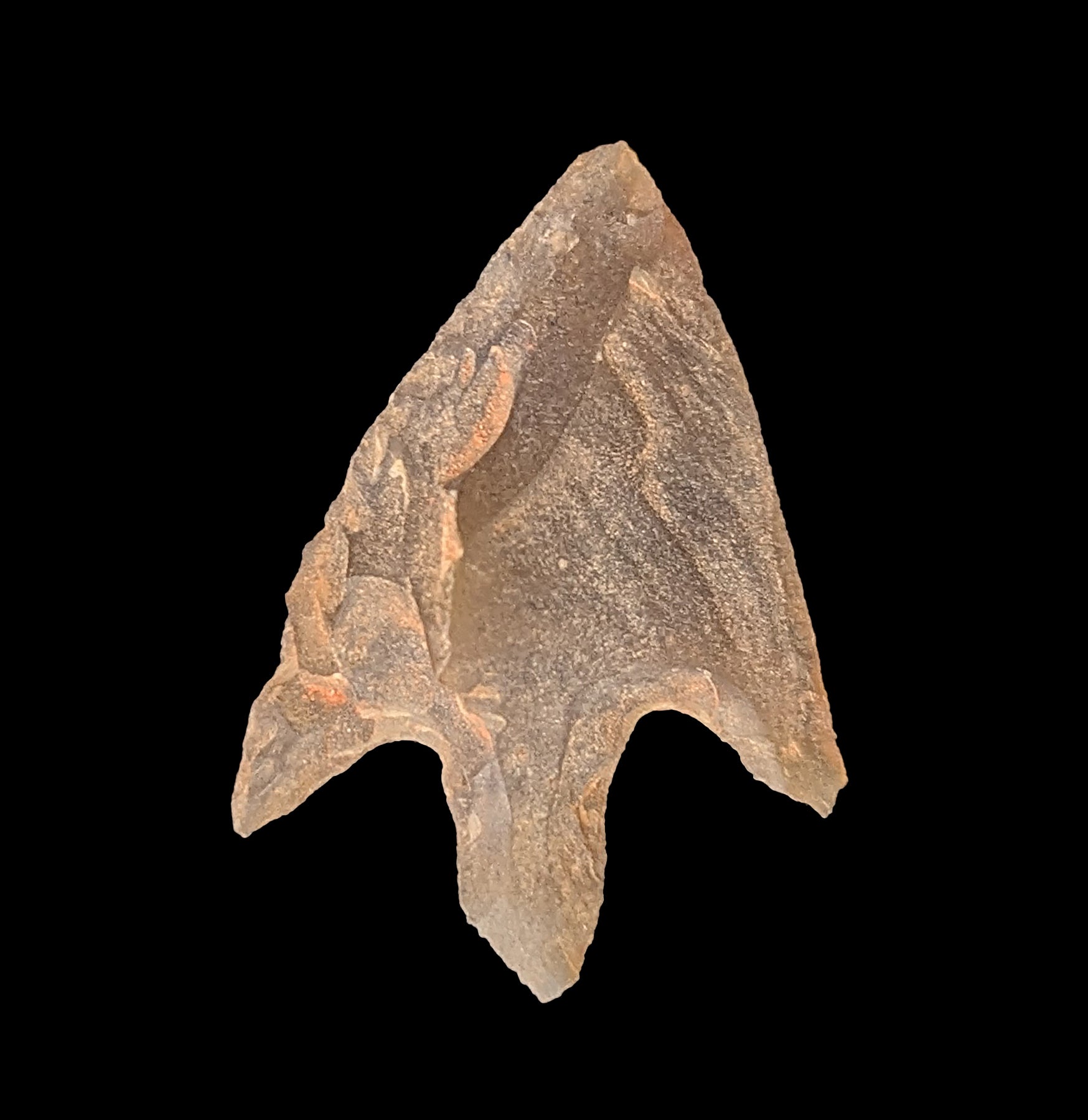 Neolithic Bird Points - Authentic Stone Age Arrowheads for Collectors & Archaeology Enthusiasts | Perfect for Historical Reenactments, Museum Displays & Ancient Weapon Collections