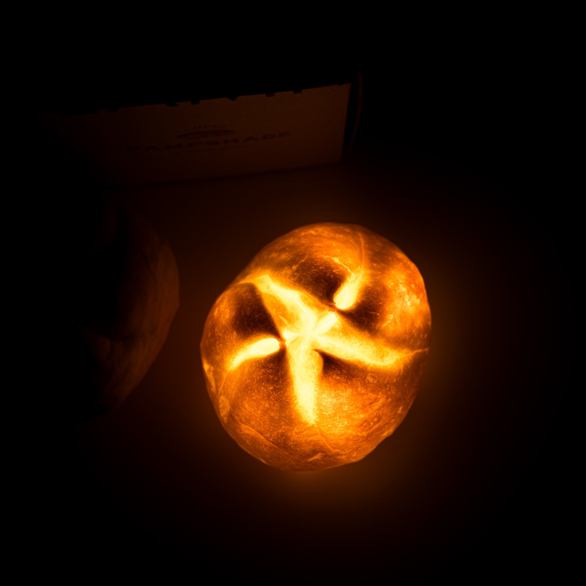 PAMPSHADE Real Bread Lamp - Handmade Kaiser Bread Night Light by Yukiko Morita | Unique Home Decor for Bedroom, Cafe & Gift Ideas