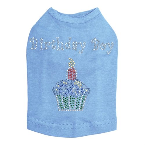 Birthday Boy Rhinestone Tank Top for Men - Sparkling Party Outfit in Multiple Colors - Perfect for Birthday Celebrations, Bachelorette Parties & Festive Events