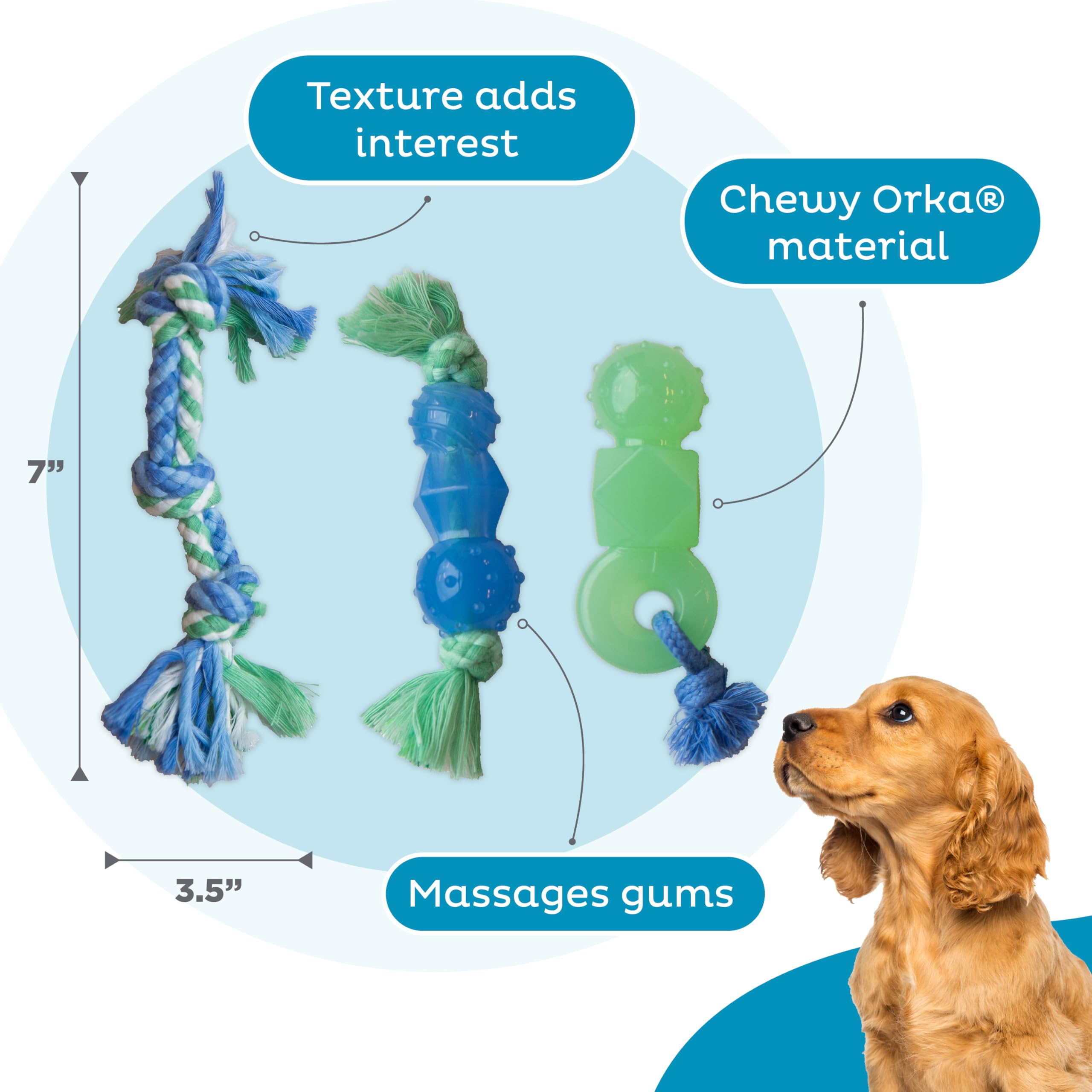 Outward Hound Mini Dentachew Dental Dog Chew Toy for Small Dogs & Puppies - 3 Pack | Promotes Oral Health & Clean Teeth - Perfect for Teething, Training, and Playtime at Home or Outdoors
