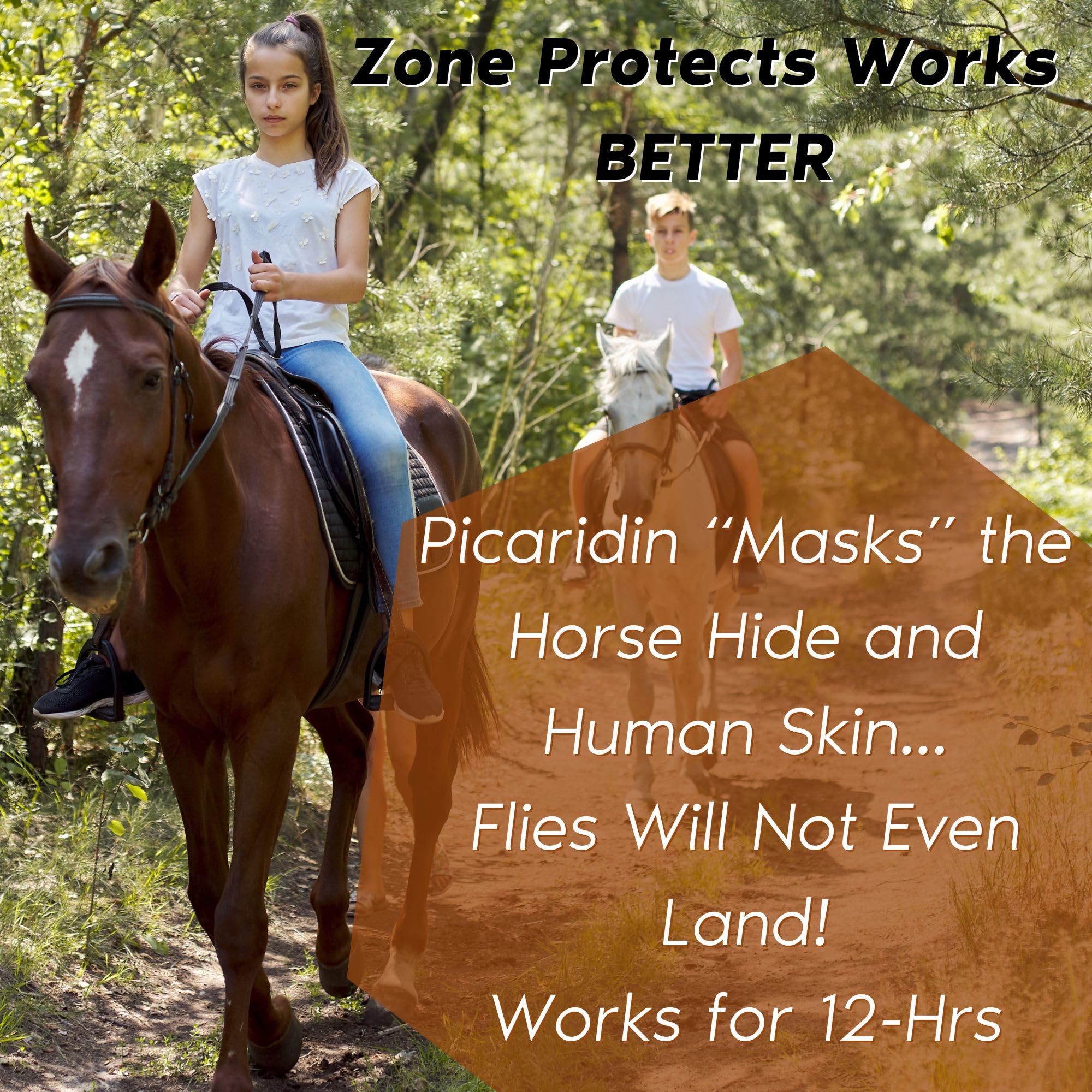 **Picaridin-Based Horse & Rider Fly & Insect Spray – Gallon with Sprayer | Effective Protection for Horses & Riders | Ideal for Trail Riding, Barn Use & Outdoor Activities**