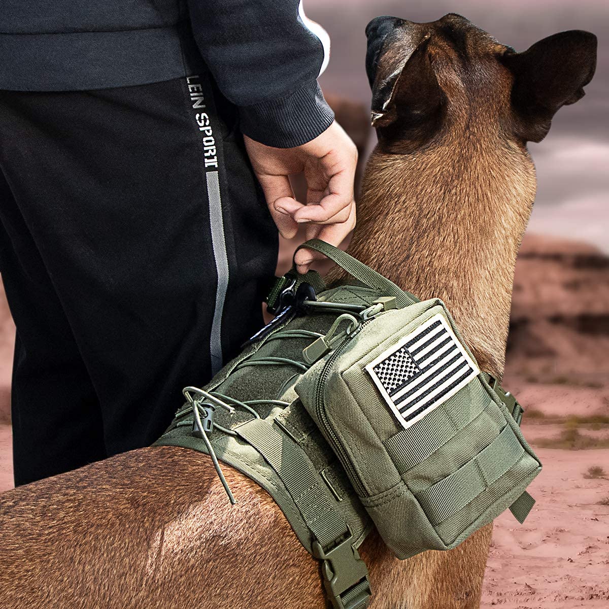 IronSeals Tactical Service Dog Vest - Patrol Training Harness with MOLLE System & Handles for Police K9, Military & Working Dogs - Perfect for Outdoor, Security & Search Missions