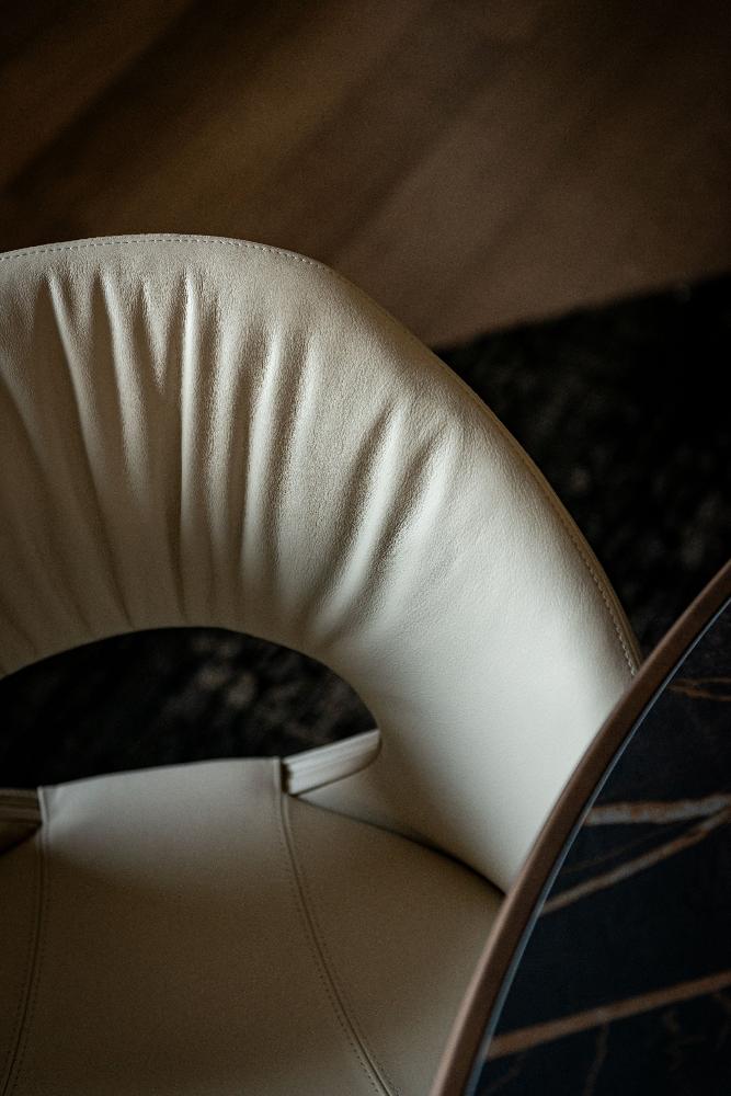 Cattelan Dafne Chair - Modern Dining Chair for Kitchen, Restaurant & Office - Elegant & Comfortable Seating Solution