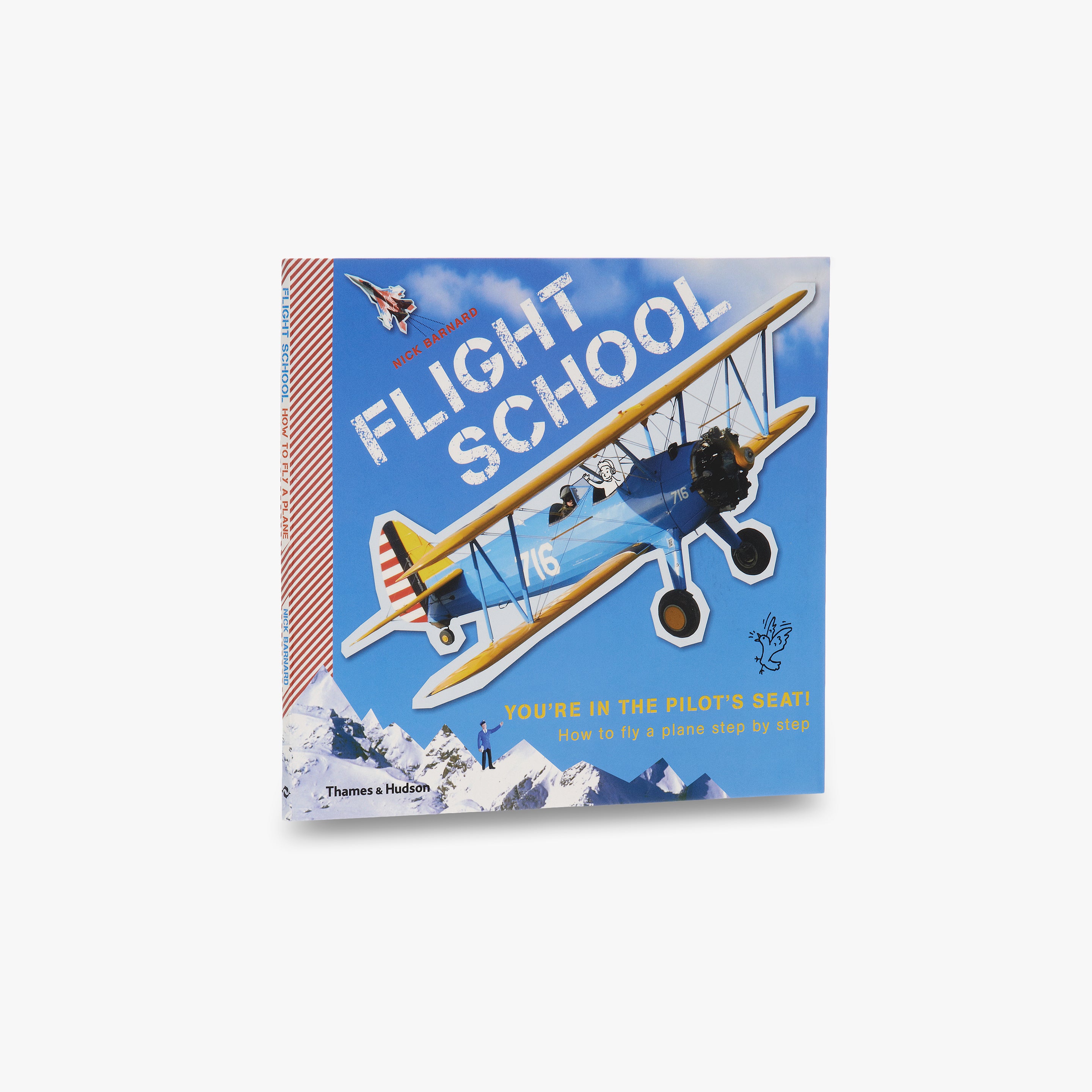 Best Flight School Near Me | FAA Certified Pilot Training & Lessons for Beginners | Learn to Fly for Career or Recreation