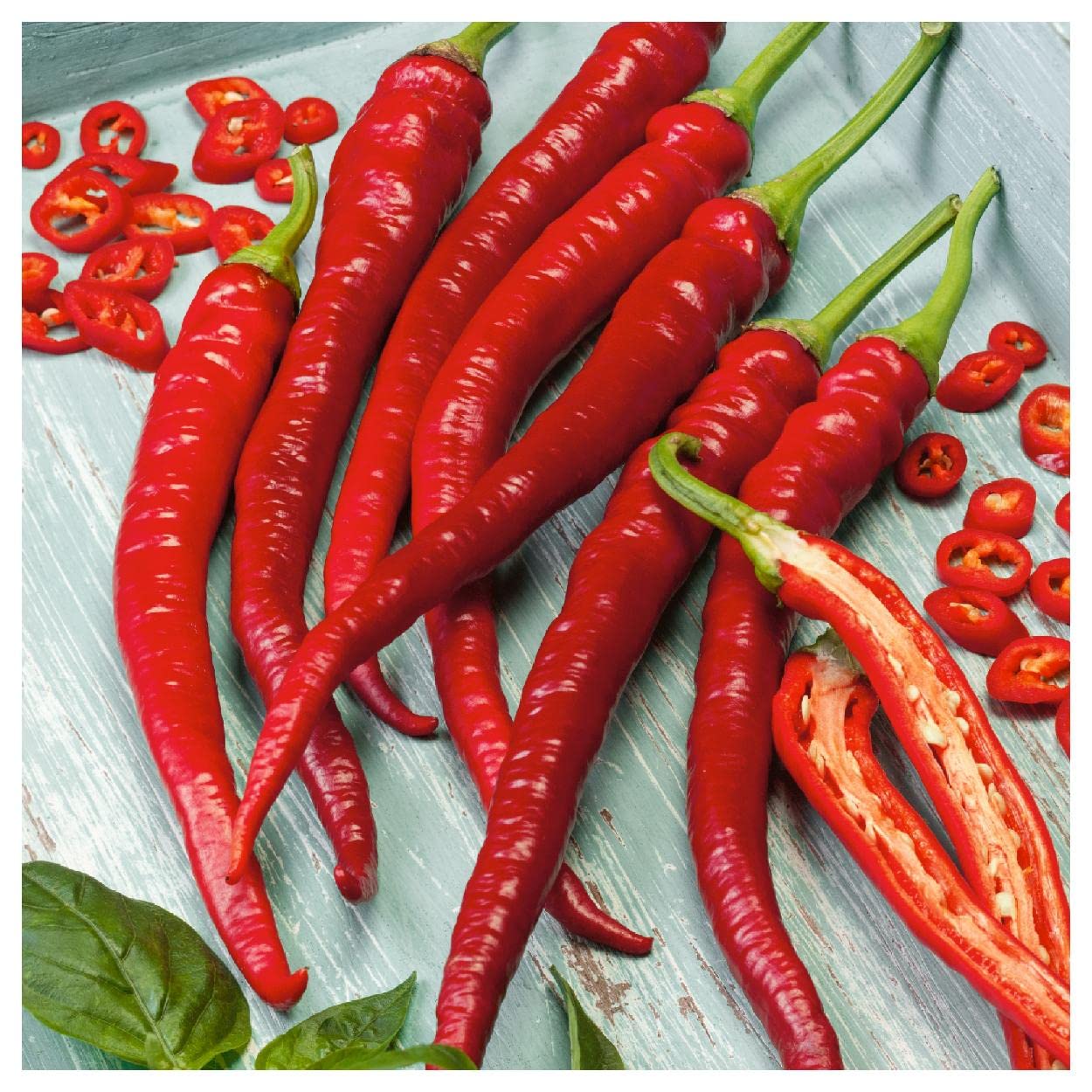Everwilde Farms - 1/4 Lb Cayenne Long Red Hot Pepper Seeds - Gold Vault Pack - Non-GMO Heirloom Spicy Pepper Seeds for Home Gardening, Cooking & Canning - Perfect for Salsas, Hot Sauces & Seasoning