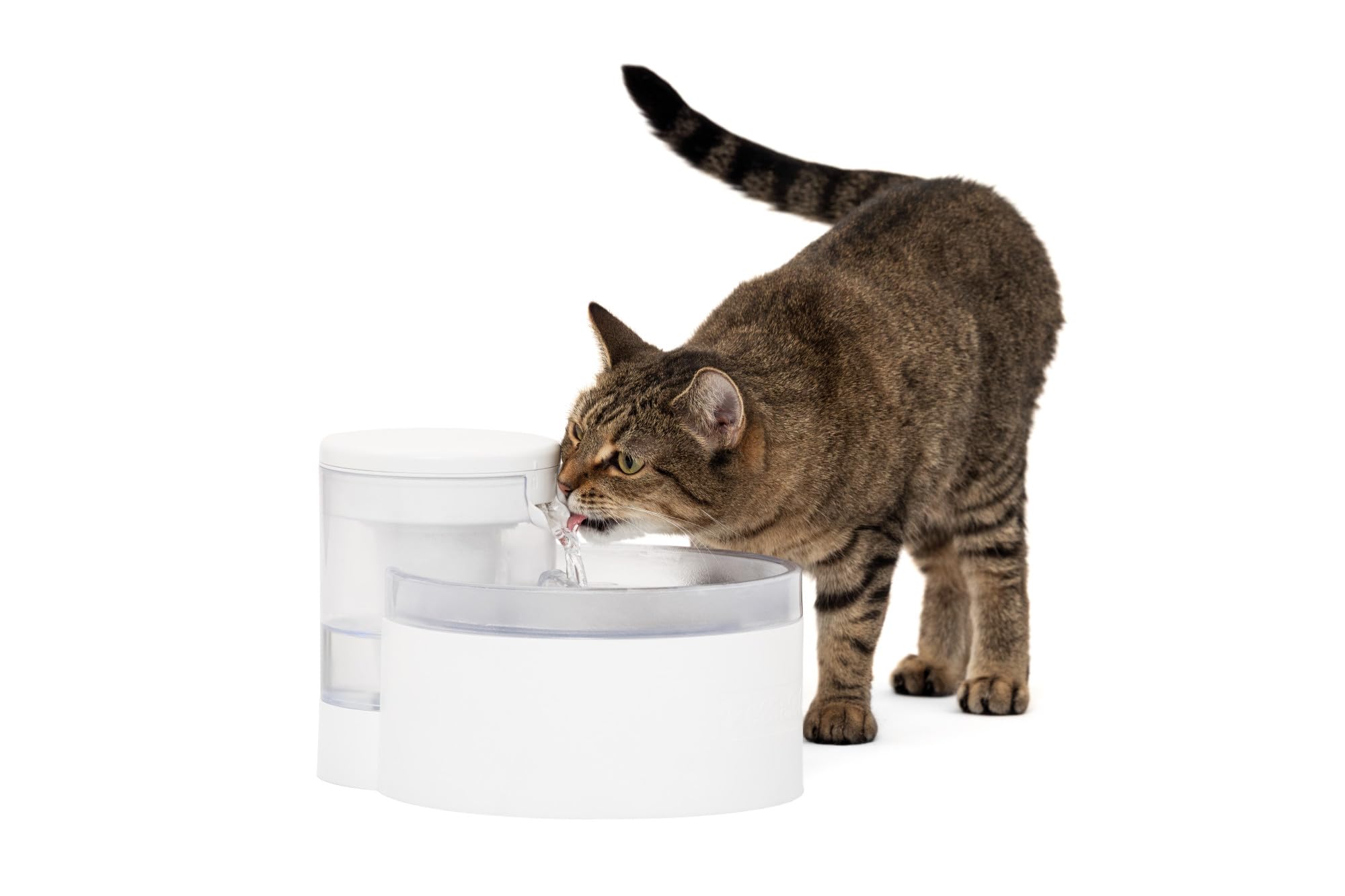 PetSafe Outlast Pumpless Cat Water Fountain 60 oz/1.7L - Automatic Indoor Pet Water Dispenser for Cats & Small Dogs, BPA-Free Dishwasher Safe, Easy Assembly & Cleaning with Included Water Filter - Perfect for Home, Office or Travel Use