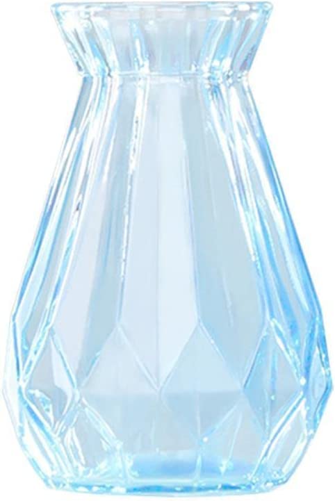 BAIWaNG Small Glass Vase - 5.7