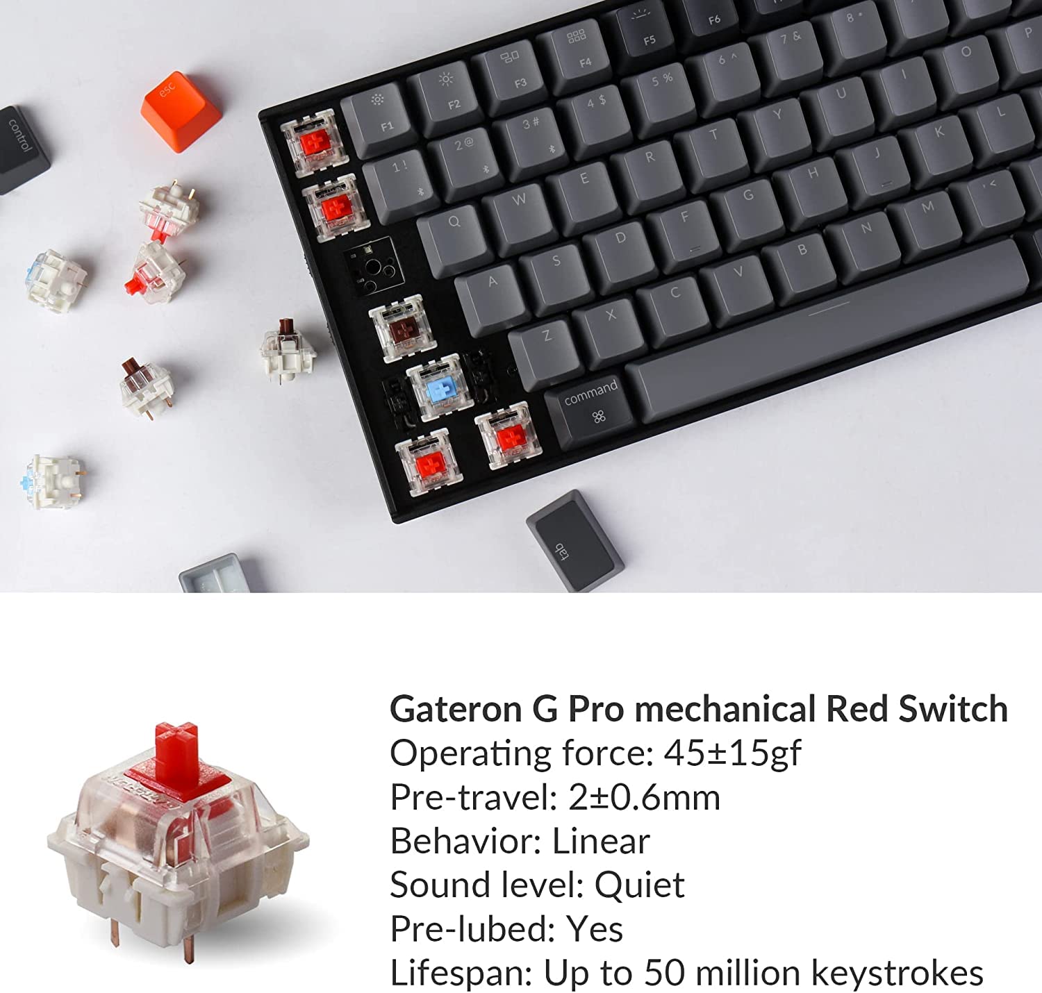 Keychron K4 Version 2 Wireless Mechanical Gaming Keyboard - 100-Key Bluetooth/USB-C Wired Keyboard with White LED Backlight, Gateron G Pro Red Switches, 96% Compact Layout for Mac & Windows PC (Plastic Frame) - Perfect for Office Work, Gaming & Programming