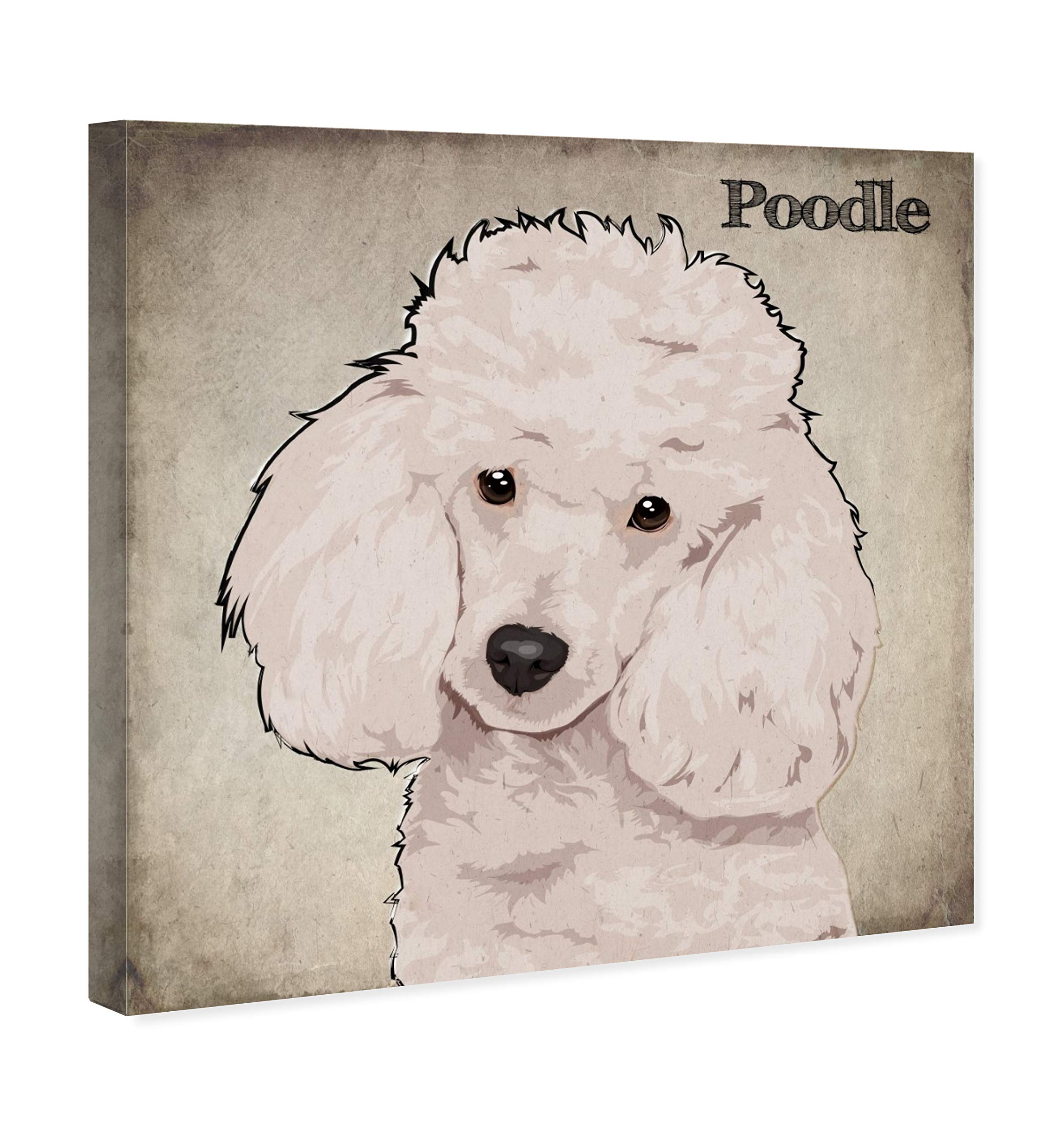 Oliver Gal Artist Co. 'Poodle' Wall Art Canvas Print - 30x30 Inch Modern Animal Home Decor in White & Brown | Perfect for Living Room, Bedroom & Office Decorations