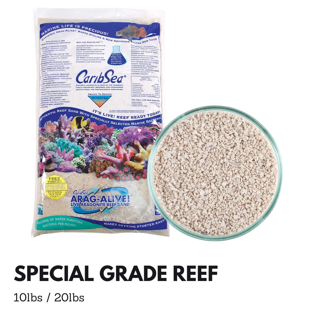 Premium Caribsea Aragalive Special Grade Reef Sand - Natural Marine Substrate for Saltwater Aquariums (10/20 lbs) | Ideal for Coral Growth, Fish Tanks & Reef Ecosystems
