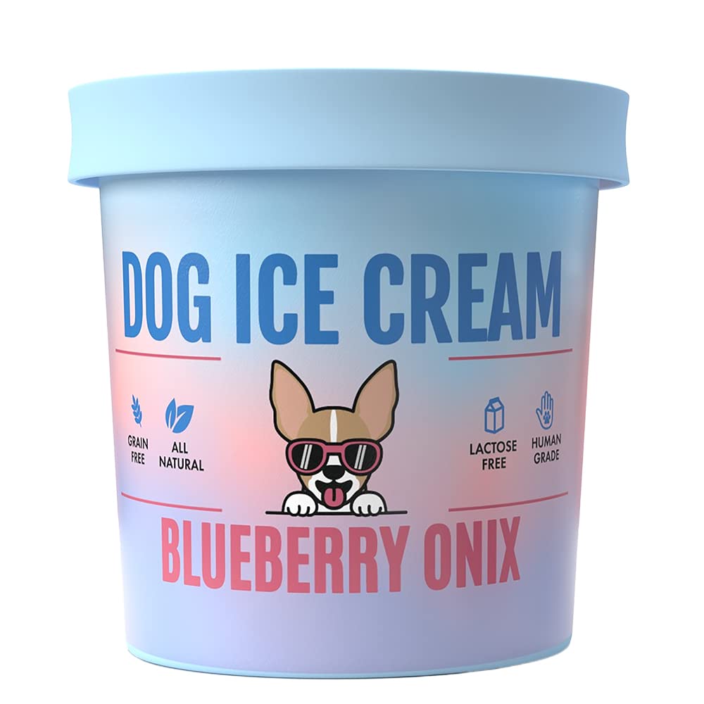 Healthy Dog Ice Cream Mix - Blueberry Flavor, All-Natural Frozen Dog Treats for Summer, Birthdays & Special Occasions - Perfect for Cooling Down Your Pup on Hot Days
