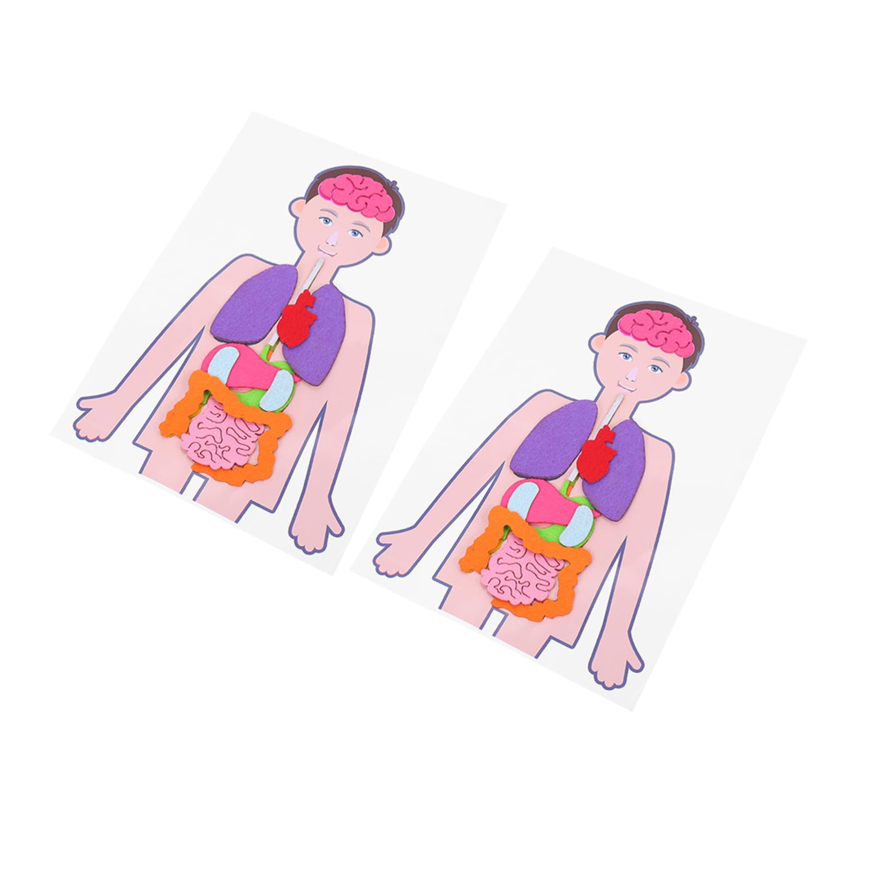 Vaguelly 2 Sets Kids Human Body Anatomy Learning Toys - DIY Fabric Organs Puzzle, Educational Science Teaching Aids for Toddlers & Children | Perfect for Homeschooling, Classroom STEM Activities & Interactive Biology Lessons